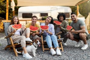 checklist vakantie hond